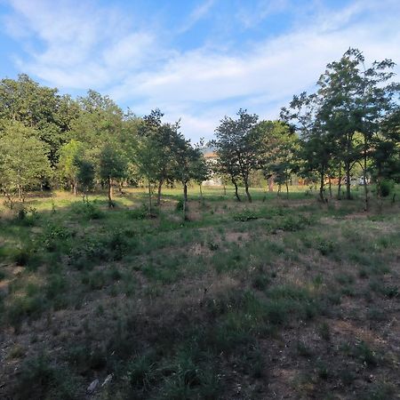 Location Saisonniere Curiste Apartman Montesquieu  Kültér fotó