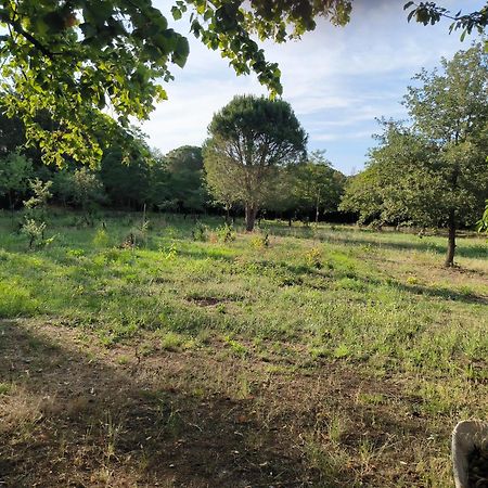 Location Saisonniere Curiste Apartman Montesquieu  Kültér fotó