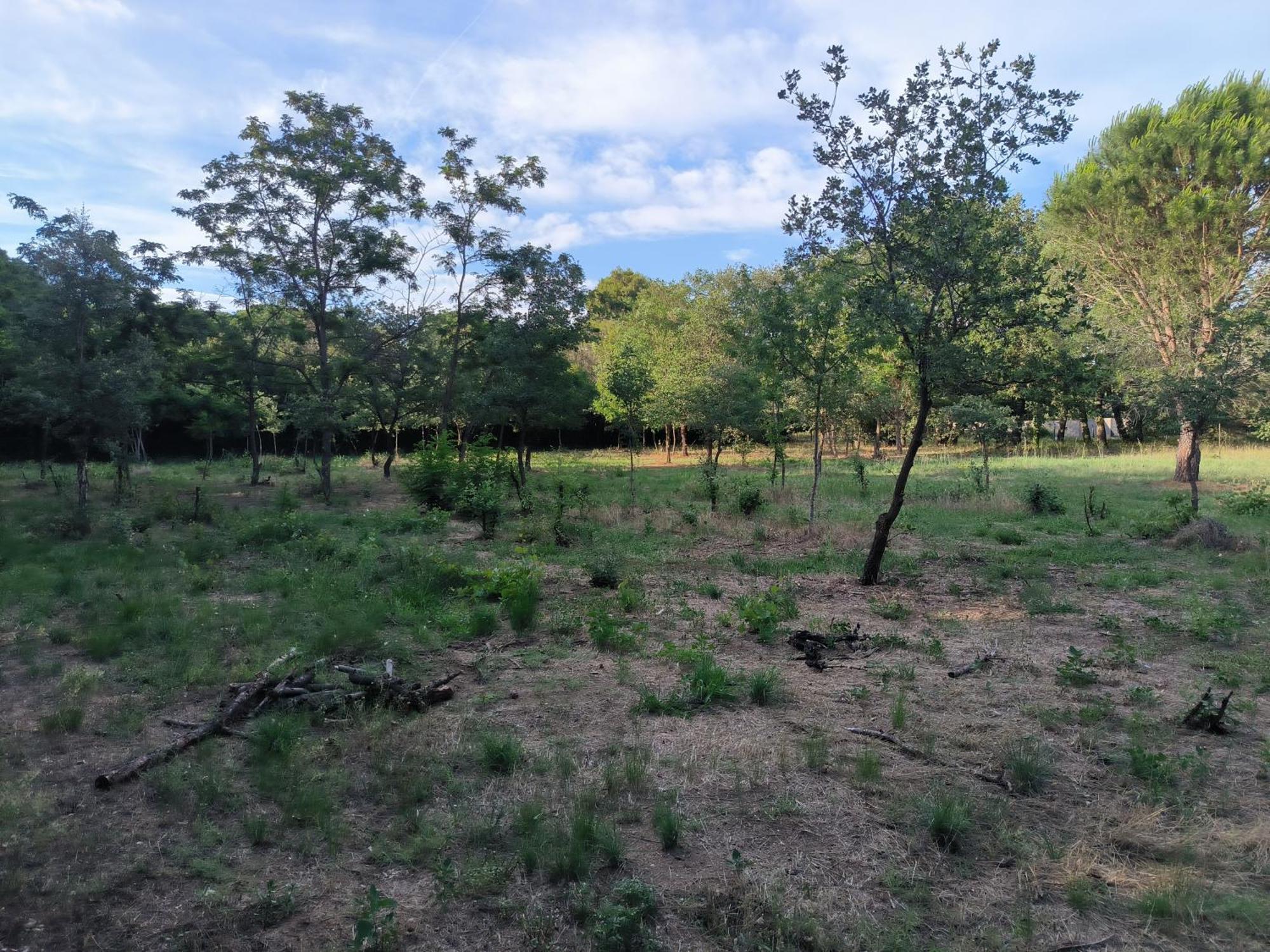 Location Saisonniere Curiste Apartman Montesquieu  Kültér fotó