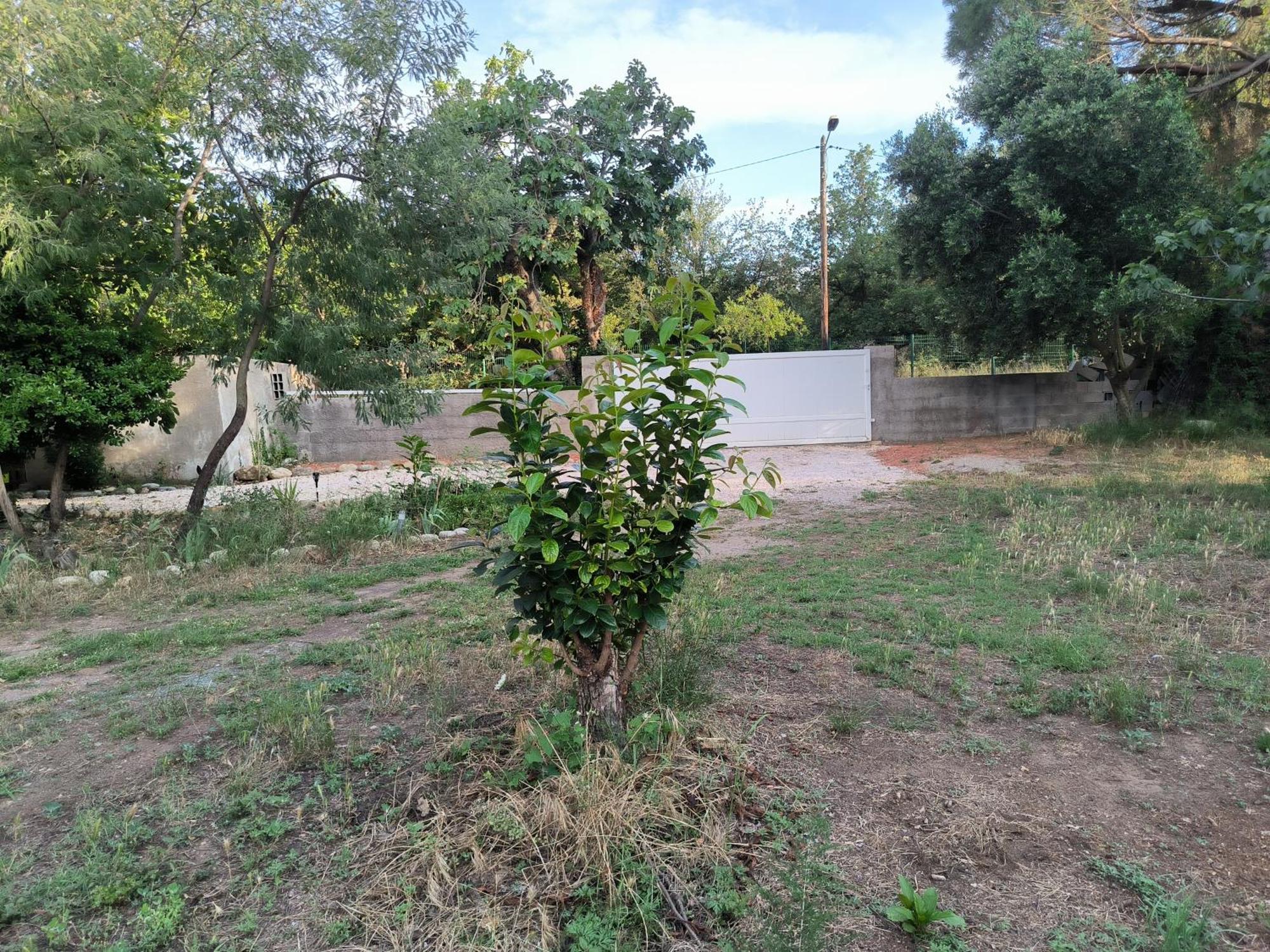 Location Saisonniere Curiste Apartman Montesquieu  Kültér fotó